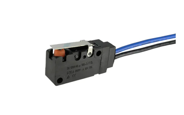 Interrupteur d'alimentation électronique étanche bouton poussoir à bascule à action instantanée micro-interrupteur miniature/interrupteur étanche Ws2 personnalisé pour la climatisation